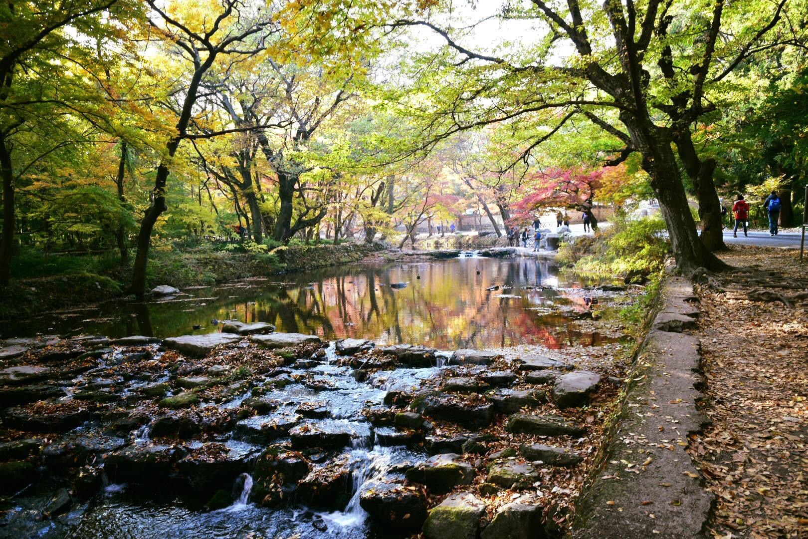 [韓國禪雲寺之一隅] 向翊銘 警察局玉井分局