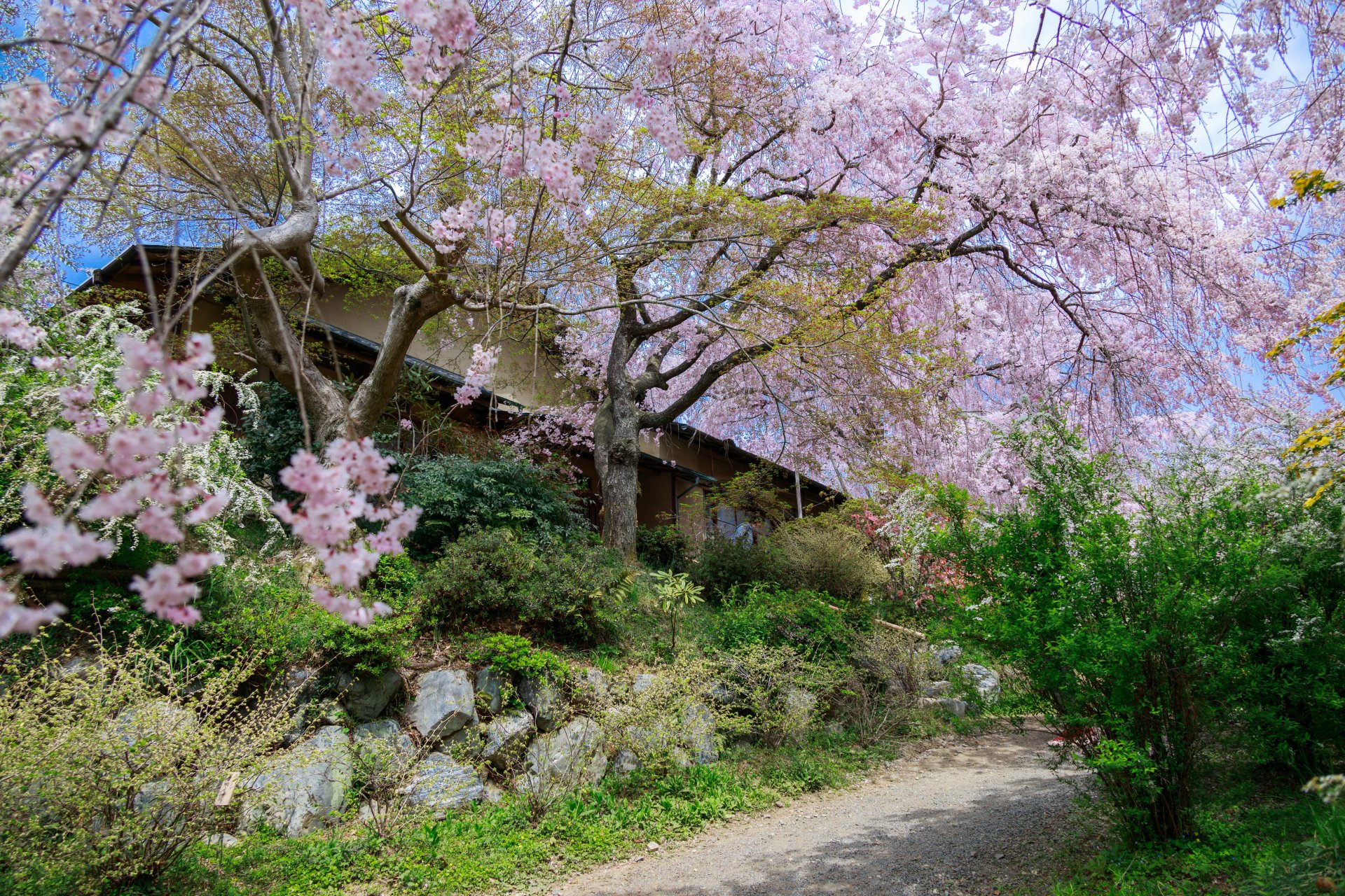 [京都-原谷苑] 黃欽發 都市發展局