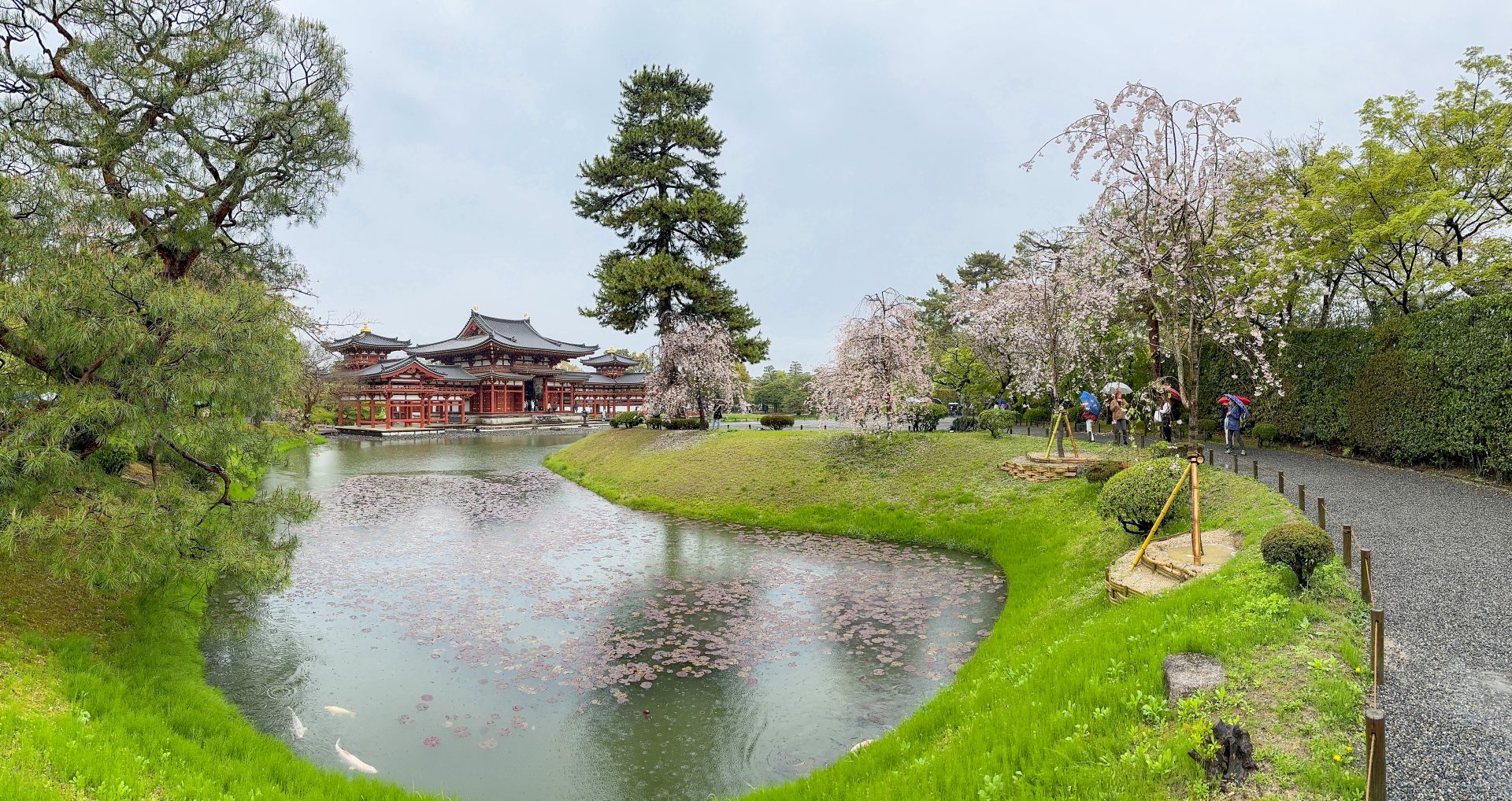 [宇治-平等院] 黃欽發 都市發展局