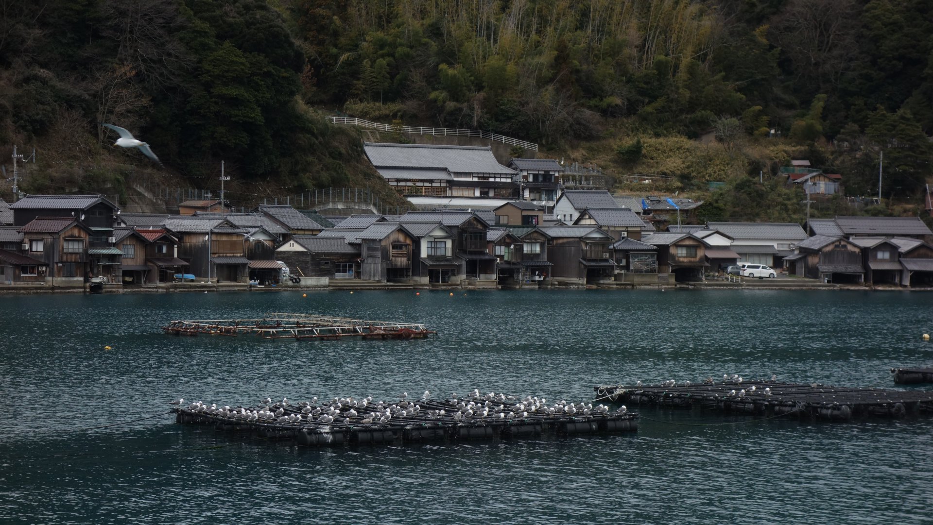 [伊根町的船屋與かもめ（kamome）] 林憲同 後壁區後壁國民小學