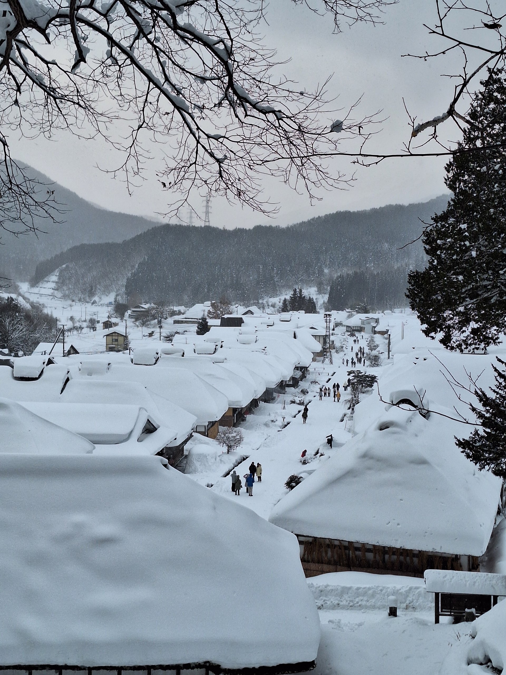 [雪之大內宿] 黃閔堅 新化區公所