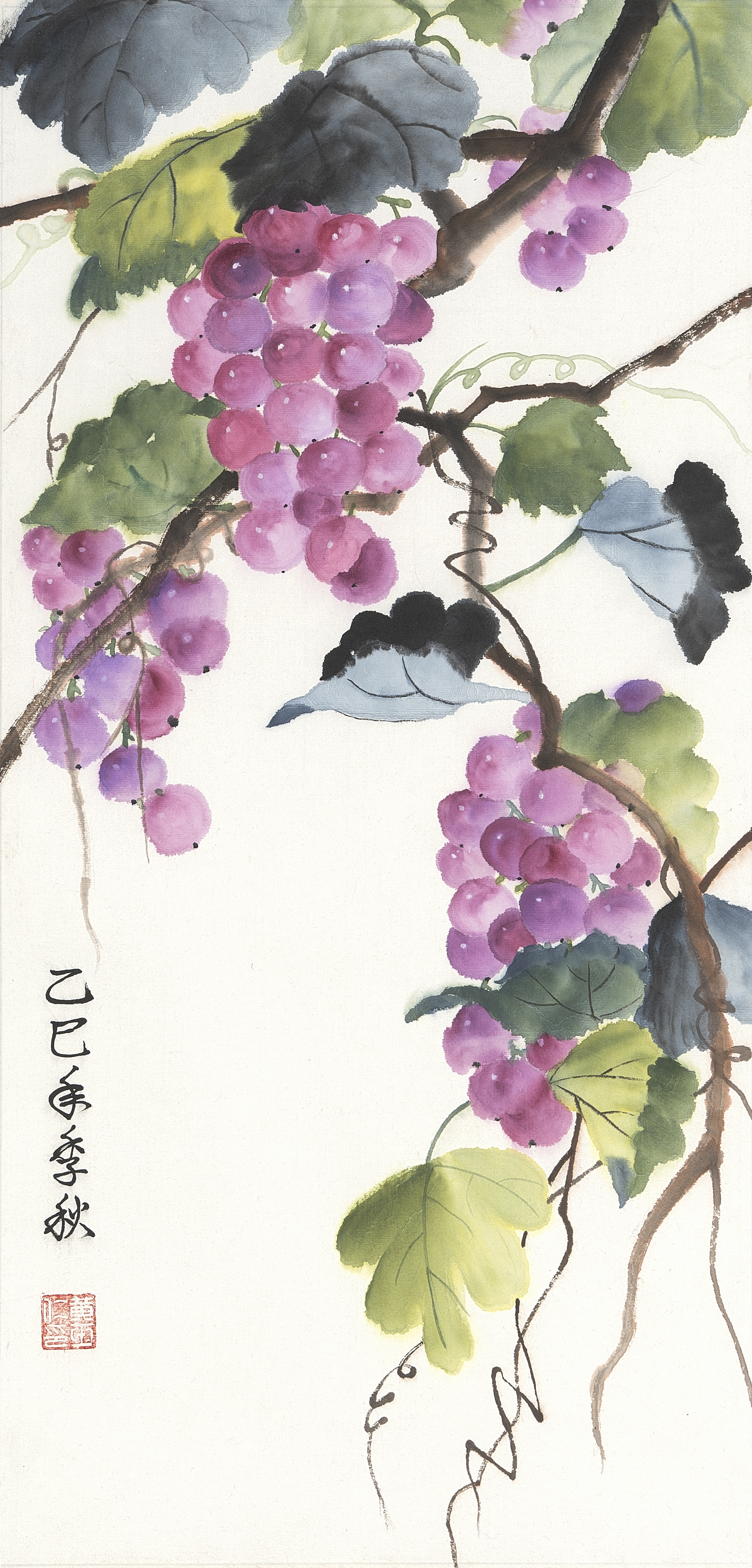 [葡香滿架] 黃玉仁 七股區公所