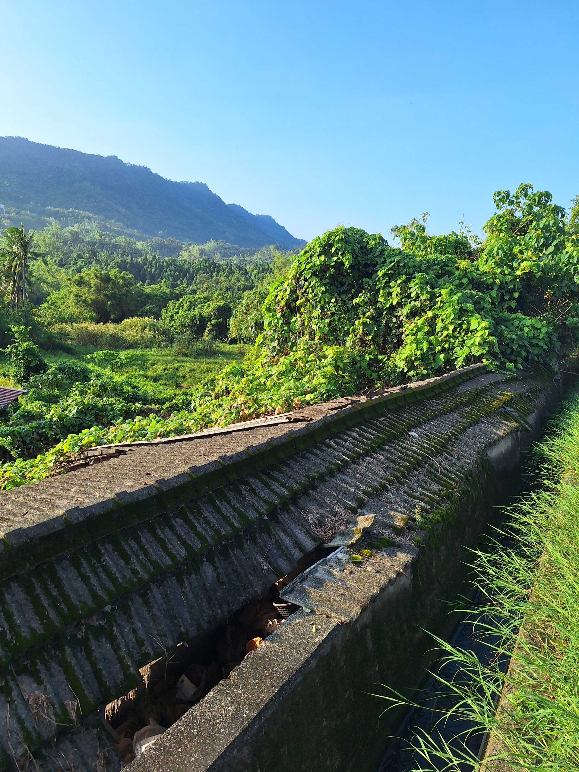 [遠眺王爺崙山] 林世杰 南化國民中學