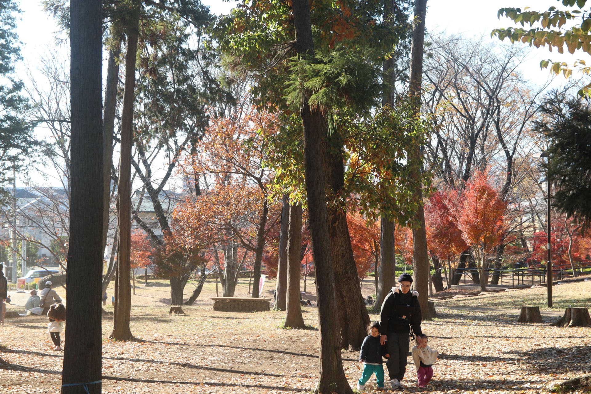 [牽著光走] 嚴珮綺 中西區忠義國民小學