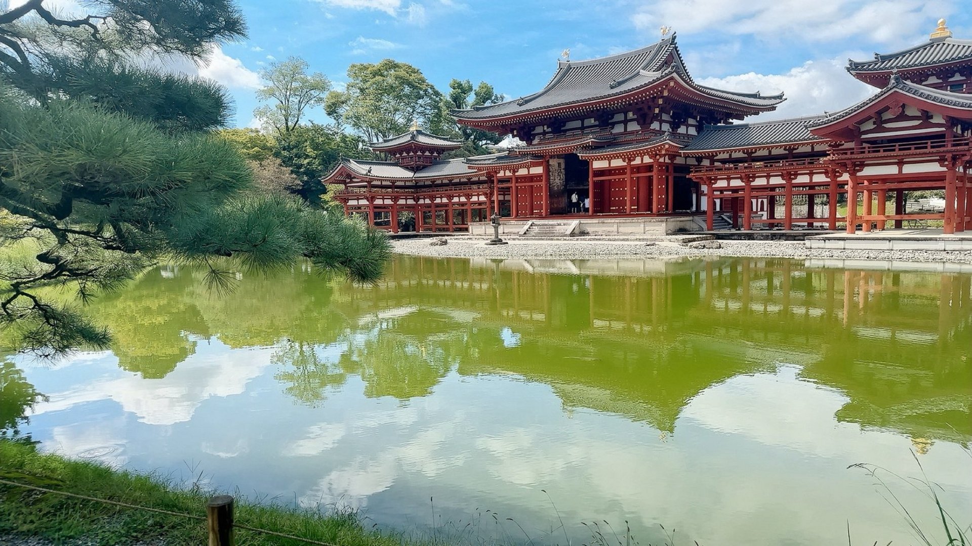 [宇治平等院阿字池上倒映的極樂之光] 許芯瑜 新營區新營國民小學