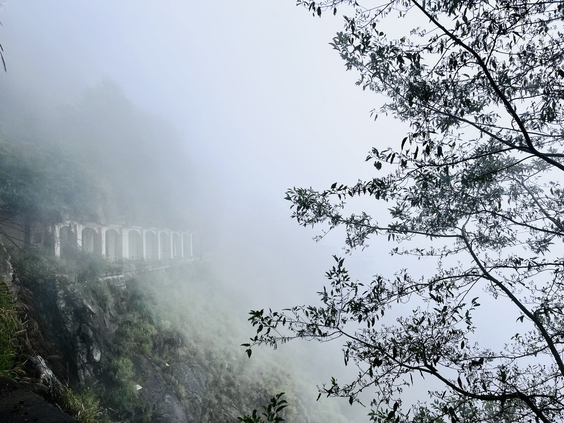 [失落的眠月線] 黃家玲 柳營區果毅國民小學