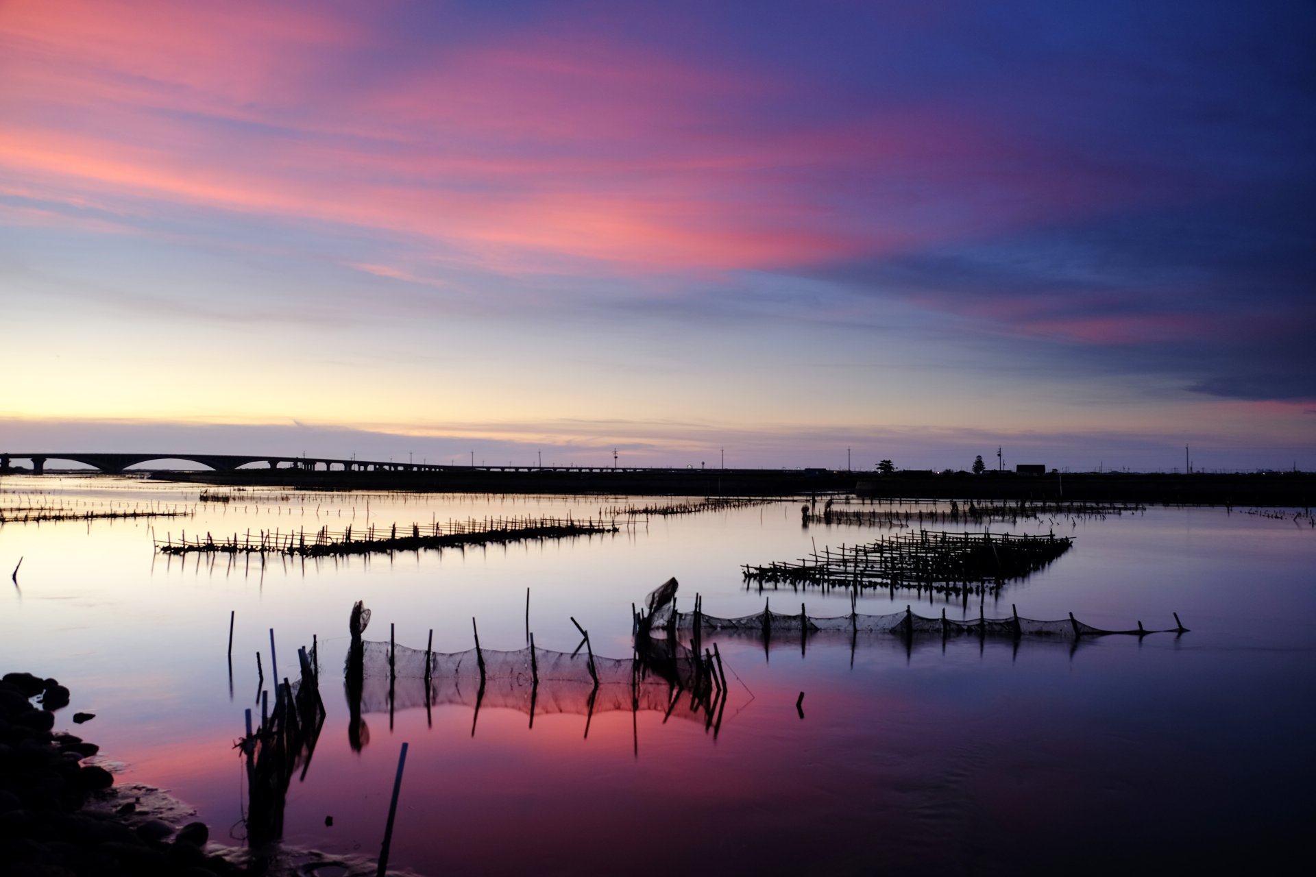 [餘暉] 莊牧軒 善化區小新國民小學