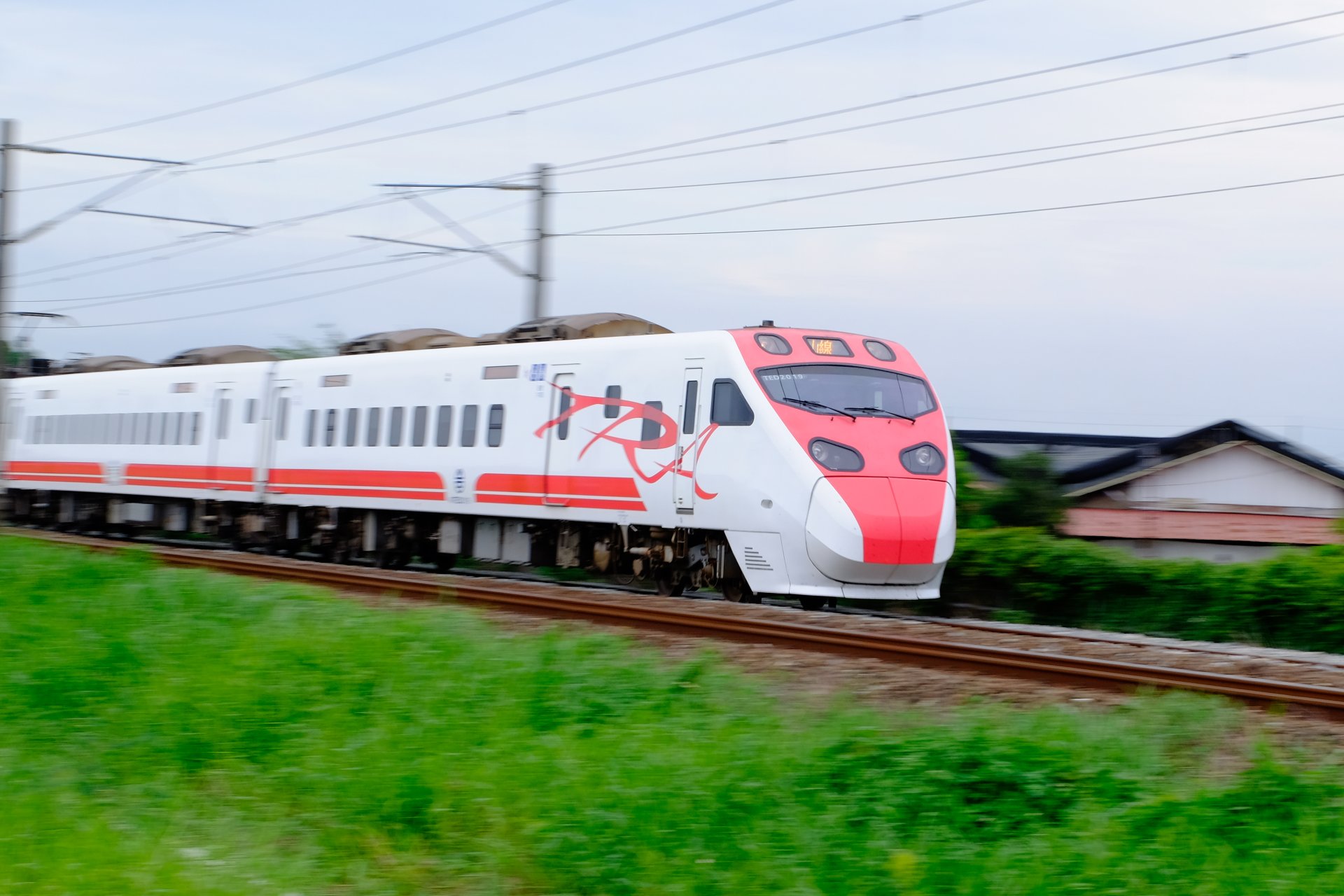 [疾馳的紅番鴨] 莊牧軒 善化區小新國民小學