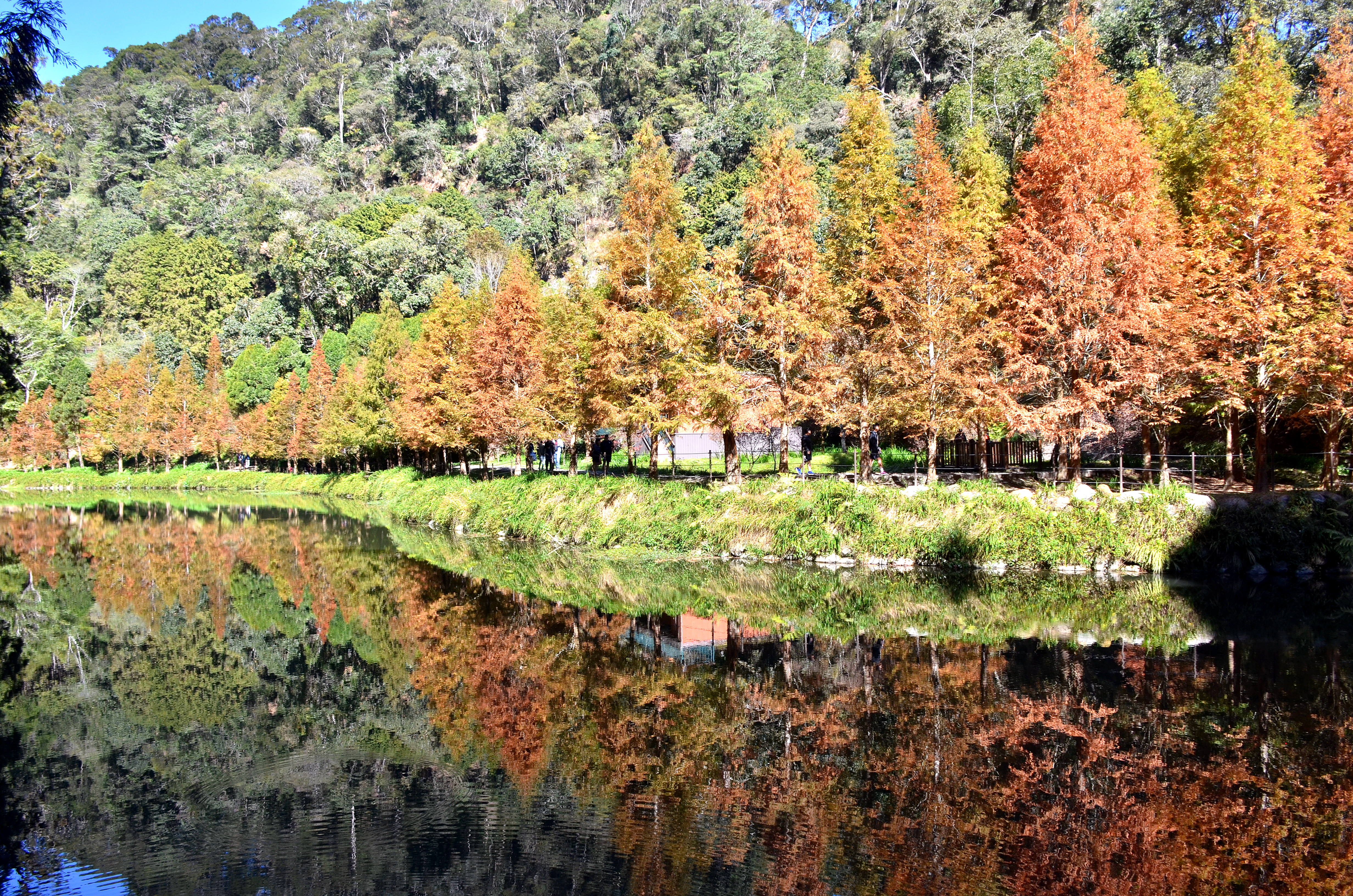 [戀戀夏林溪] 許裕哲 勞工局