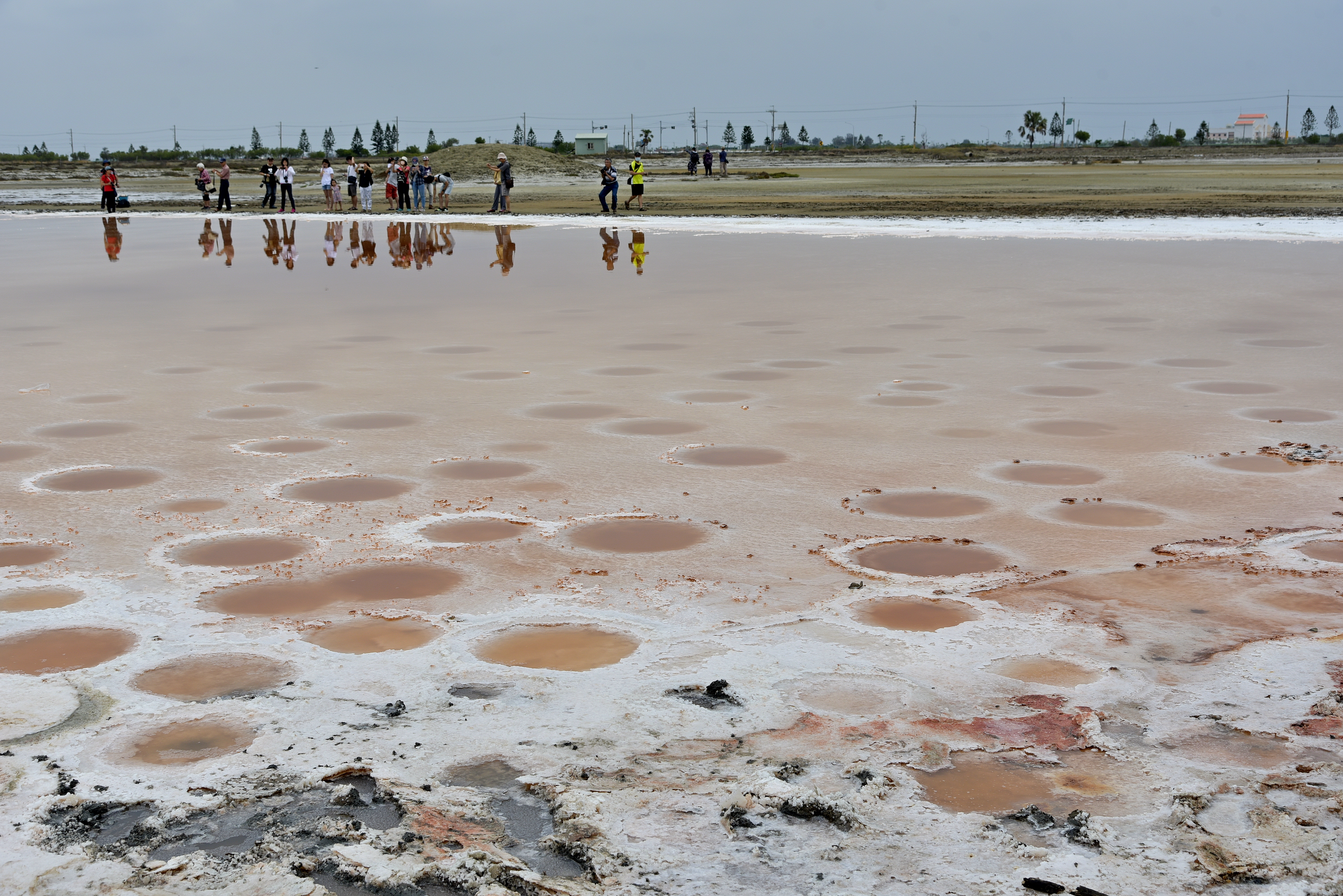 [彩虹田] 許裕哲 勞工局