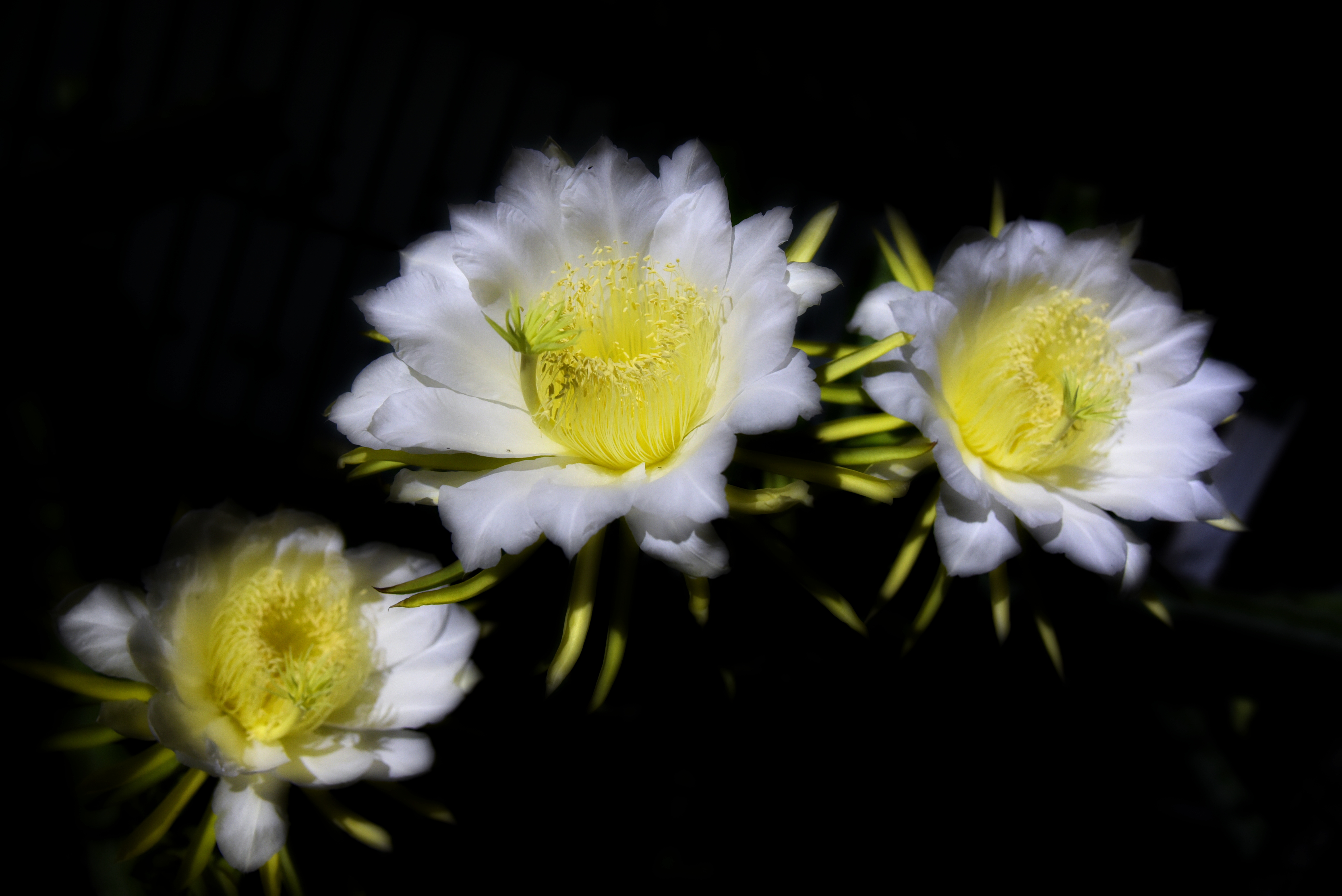 [曇花一現] 許裕哲 勞工局