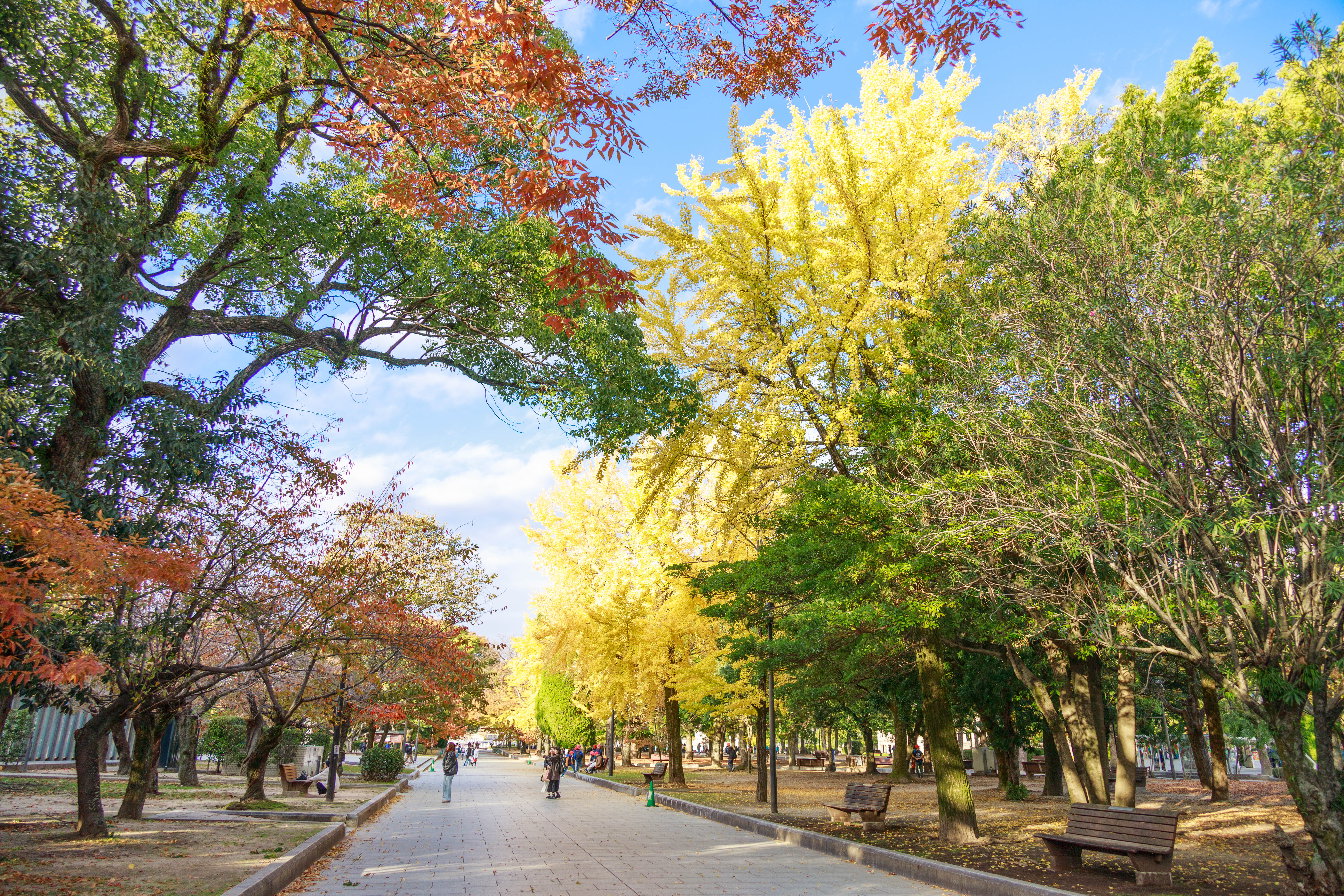 [廣島-平和公園] 黃欽發 都市發展局