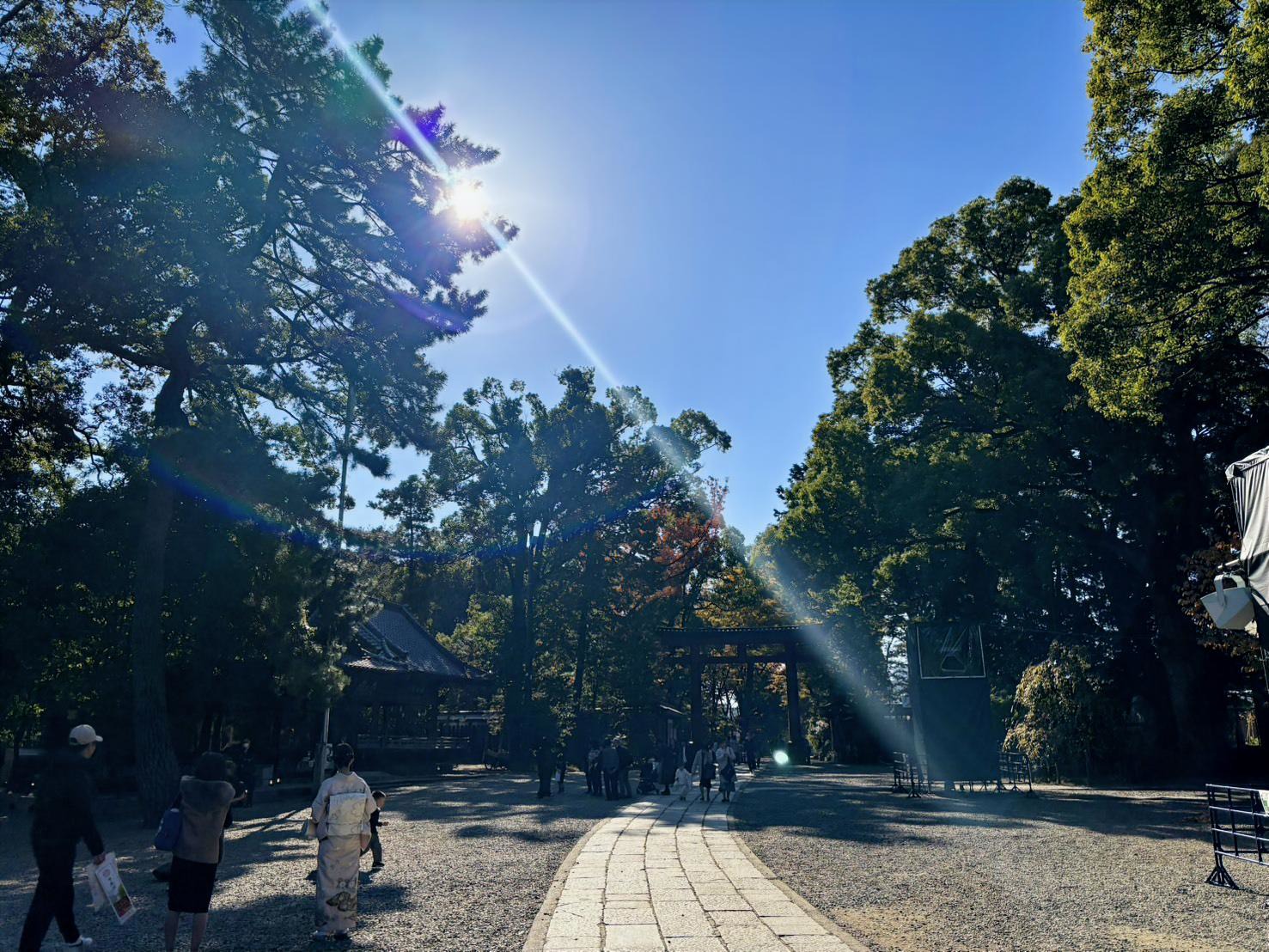 [日本埼玉縣武藏一之宮冰川神社表參道] 陳慧伶 都市發展局