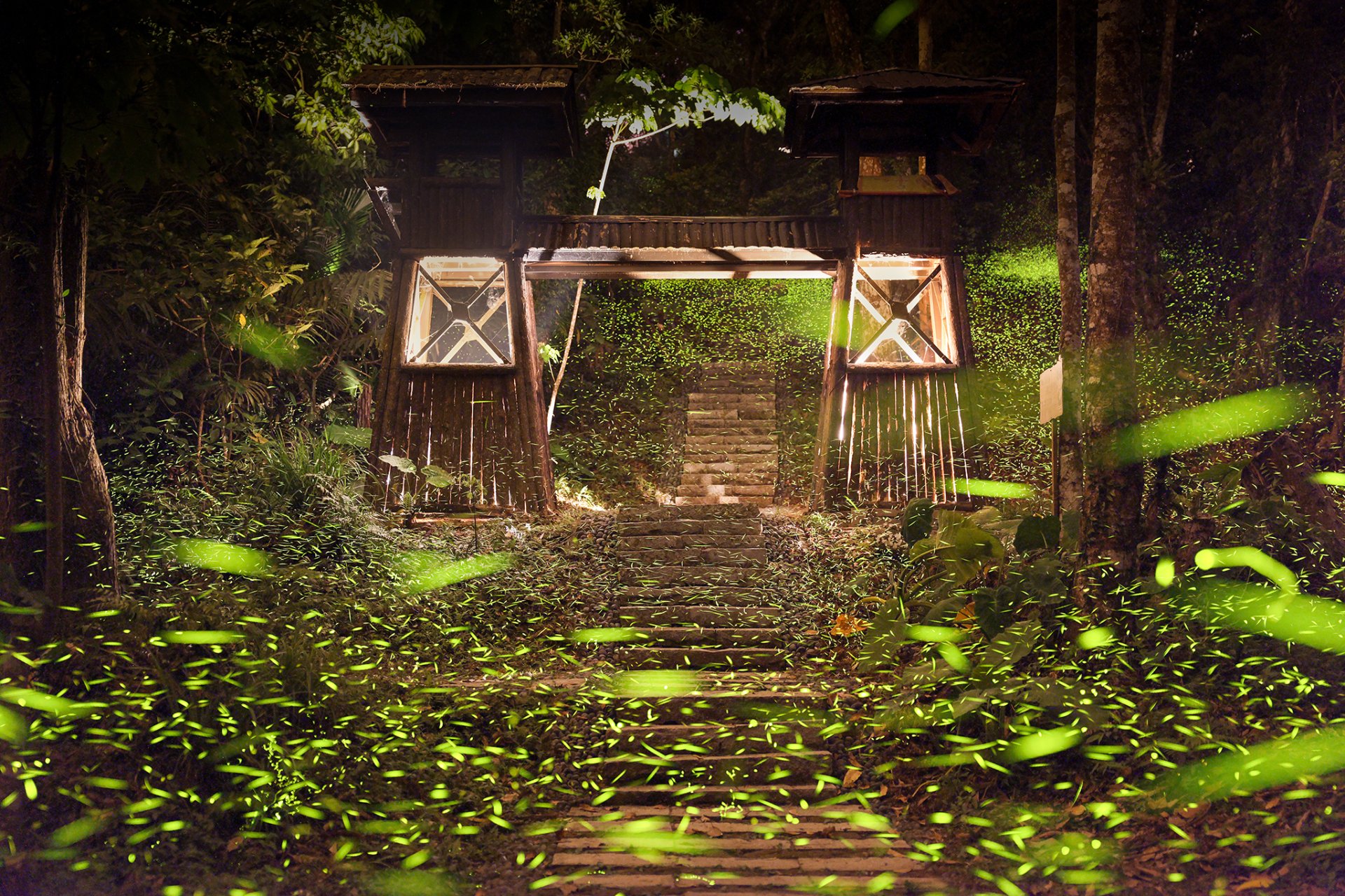 [綠光閃閃土匪村] 游惠麟 財政稅務局