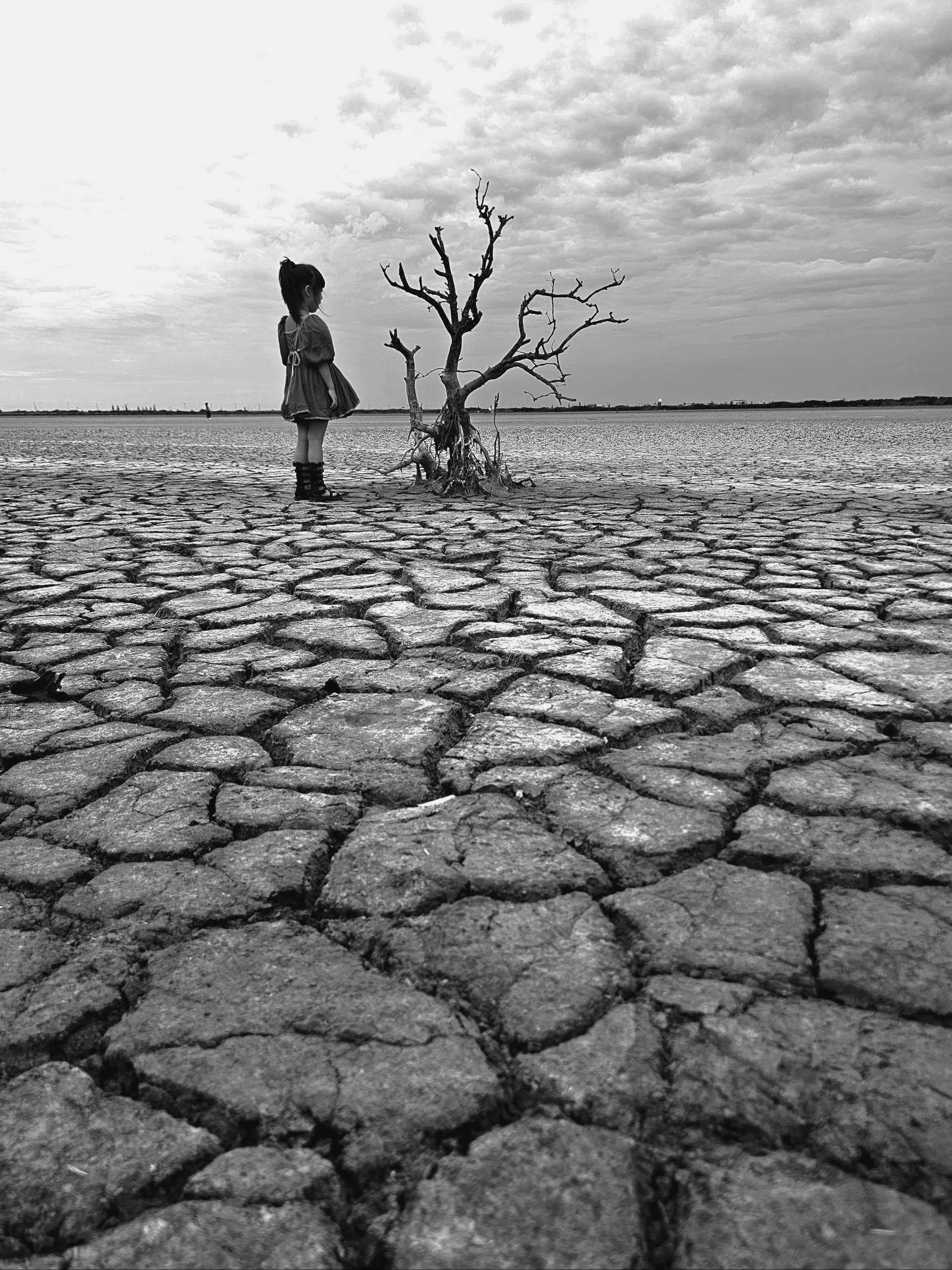 [烏托邦小女孩] 王佳鳳 鹽水區公所