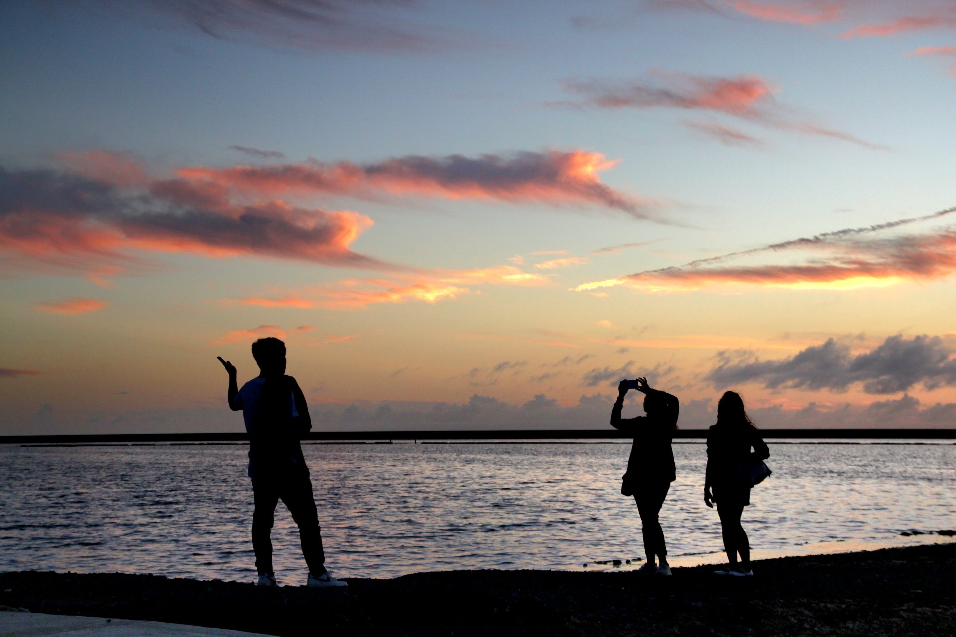 [剪影] 王佳鳳 鹽水區公所