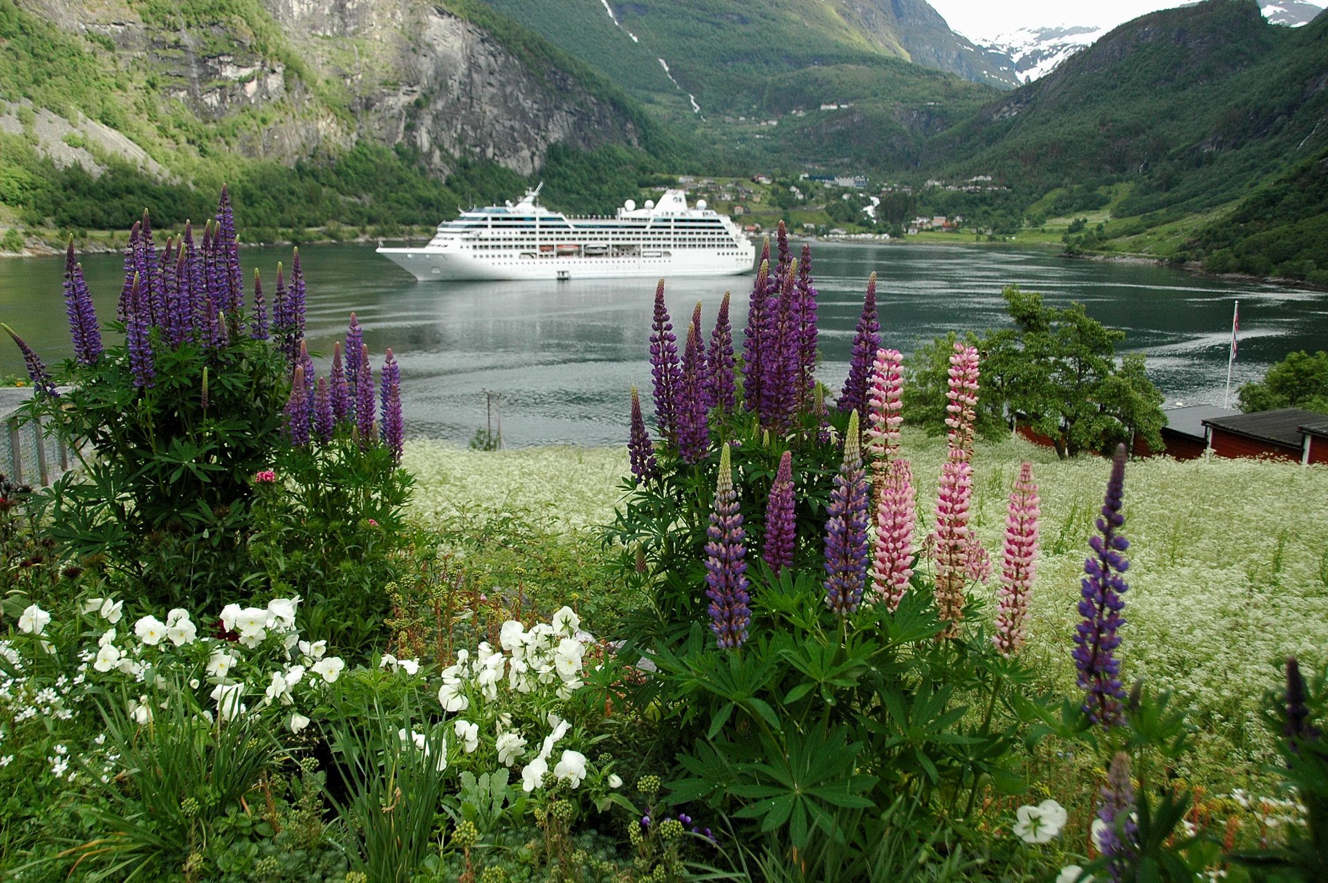 [魯冰花與船] 洪荷婷 下營區公所