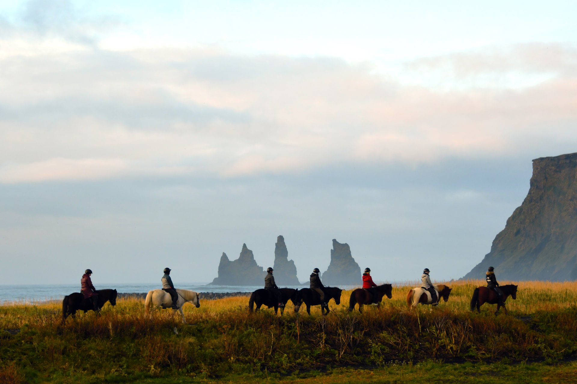 [騎馬的人] 洪荷婷 下營區公所