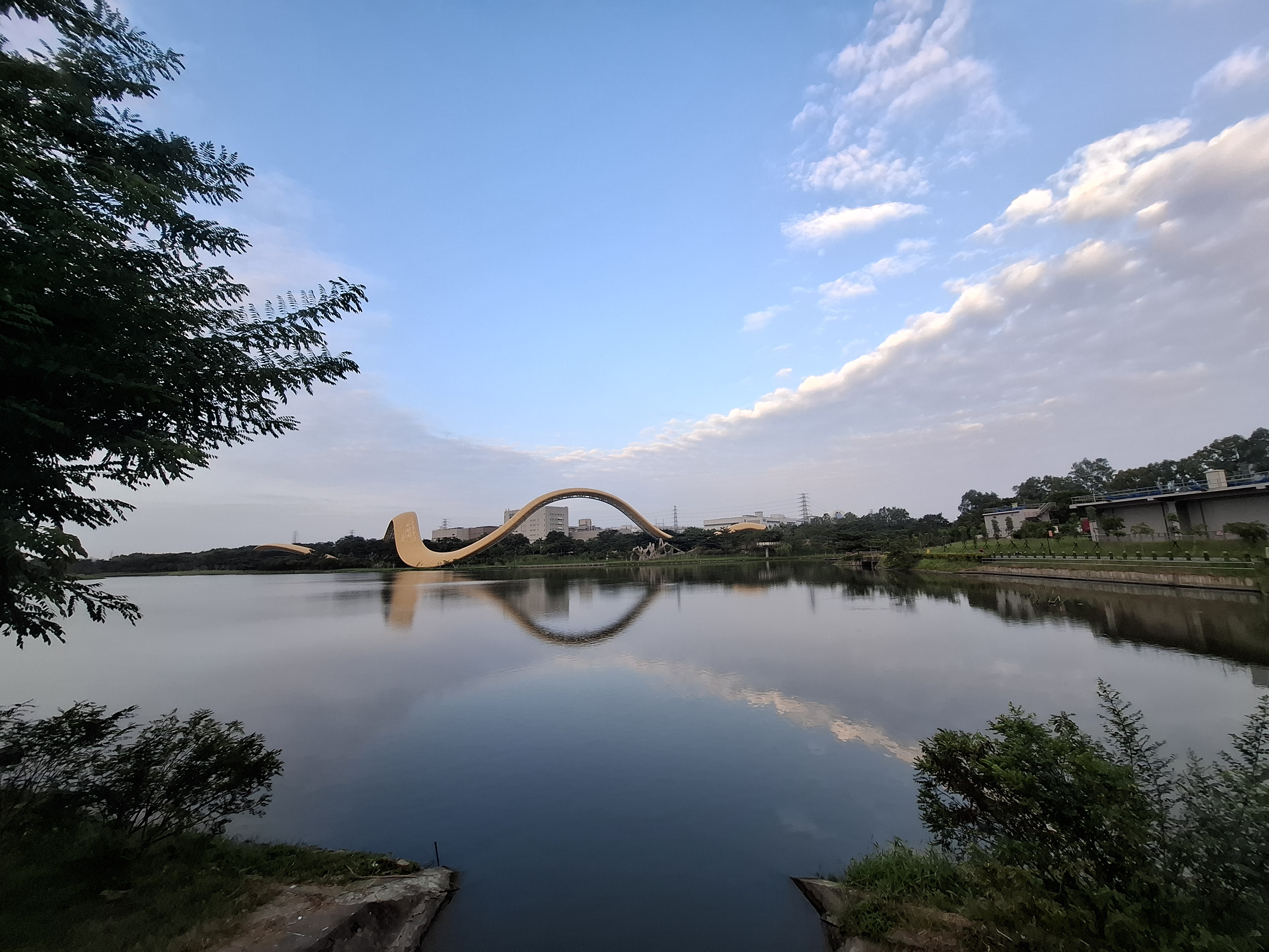 [雲彩迎曦] 葉定宏 新市區公所