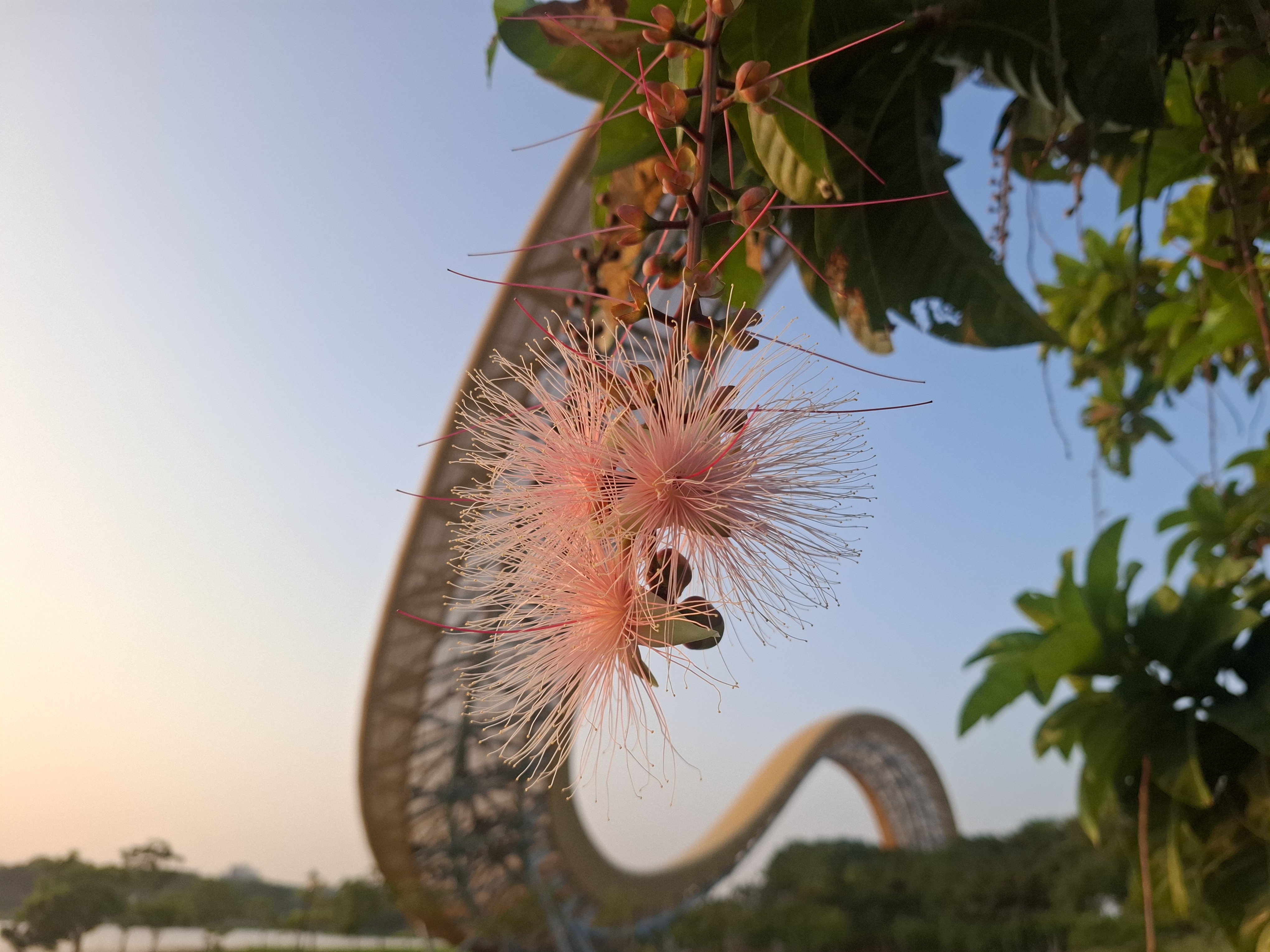 [夏夜煙火] 葉定宏 新市區公所