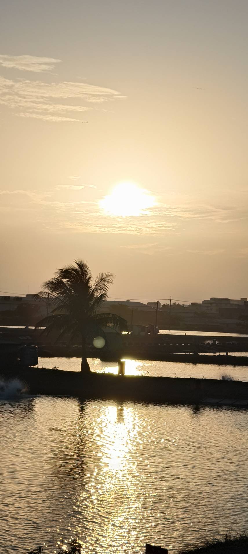 [餘暉漫金] 周佳蓉 仁德區公所