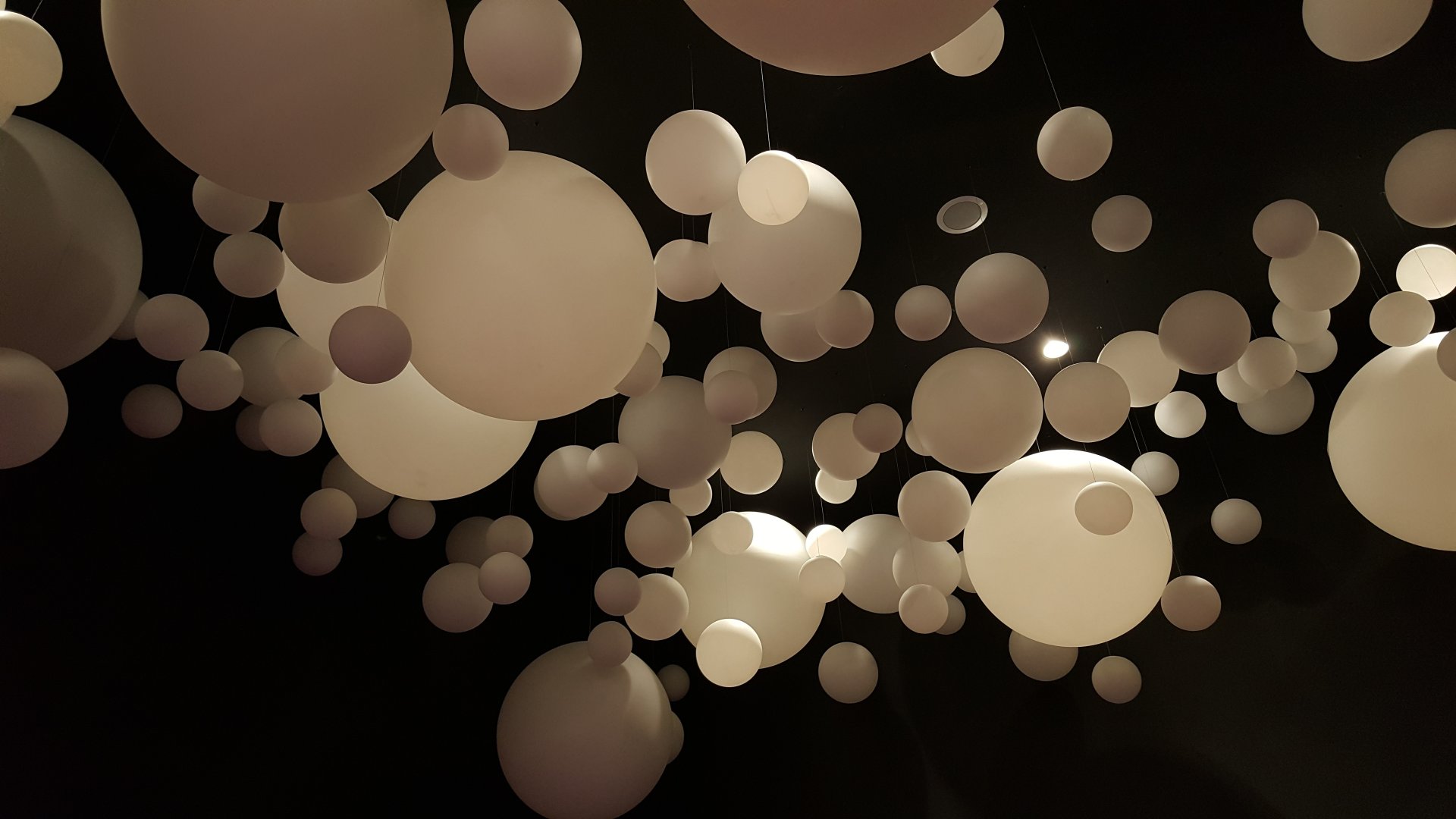 [黑與白] 施國銓 歸仁區公所