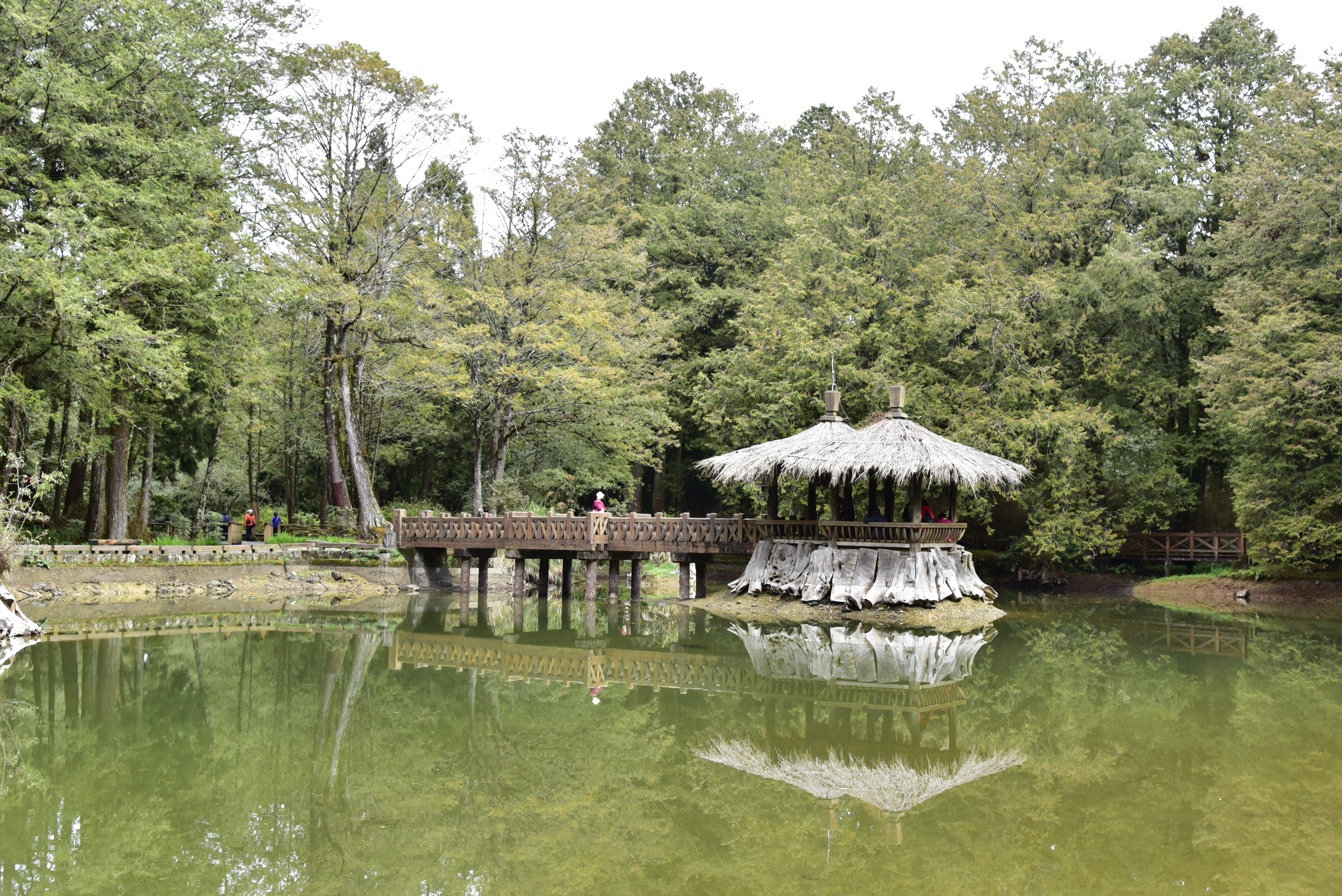 [姊妹潭] 許裕哲 勞工局