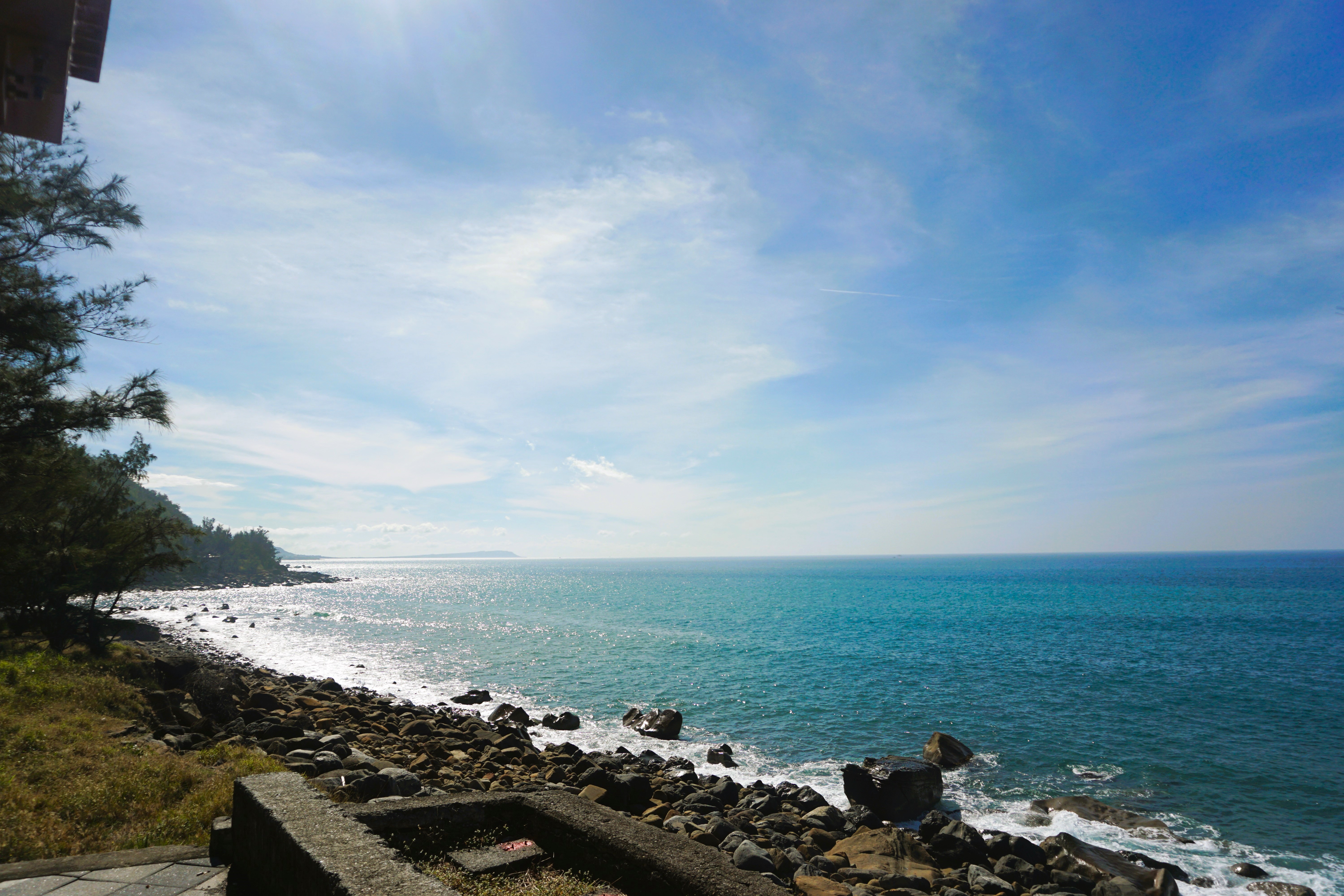 [Sea Light] 張慈敏 臺南市七股區公所