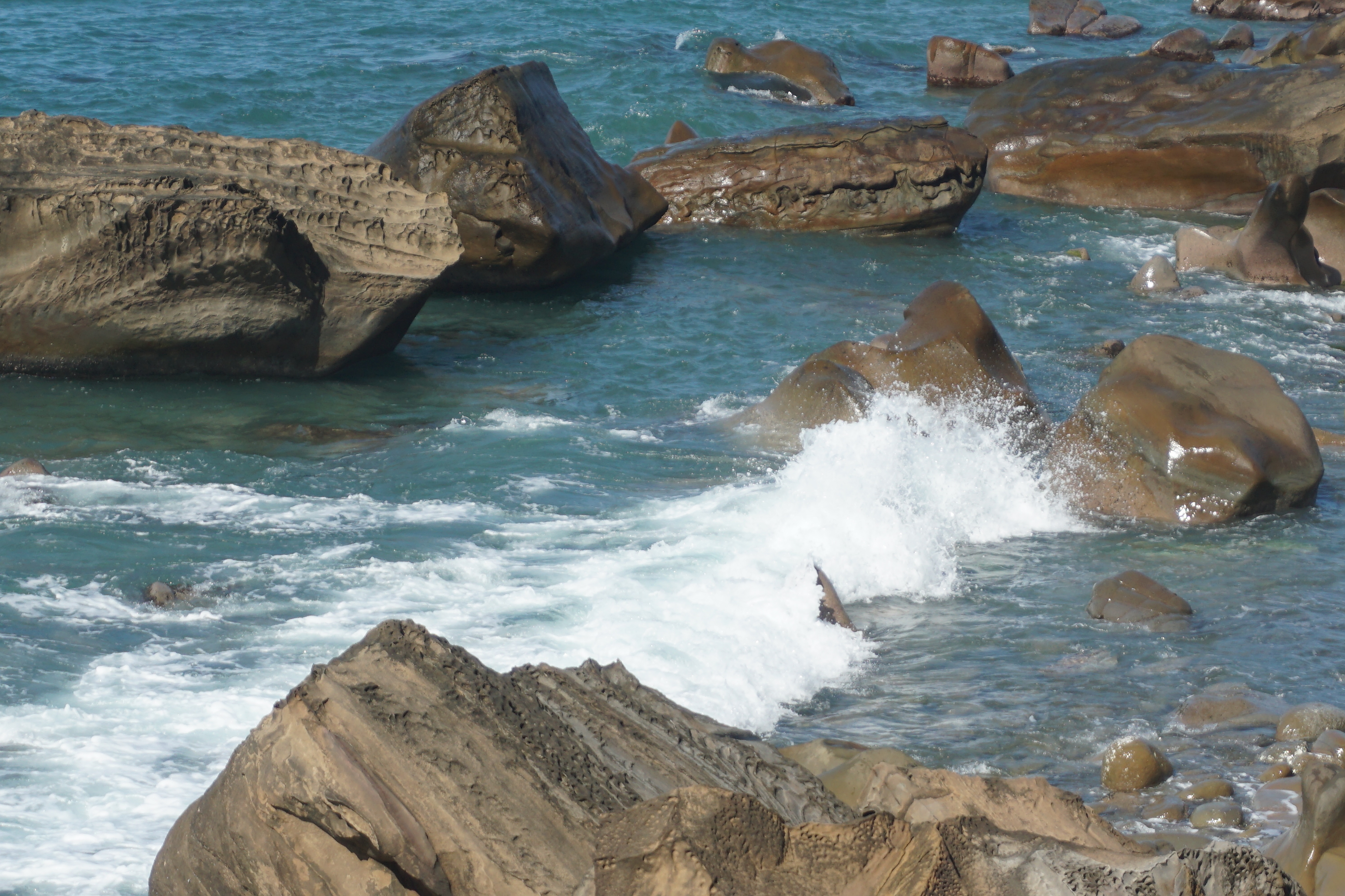 [白浪·礁石] 張慈敏 臺南市七股區公所