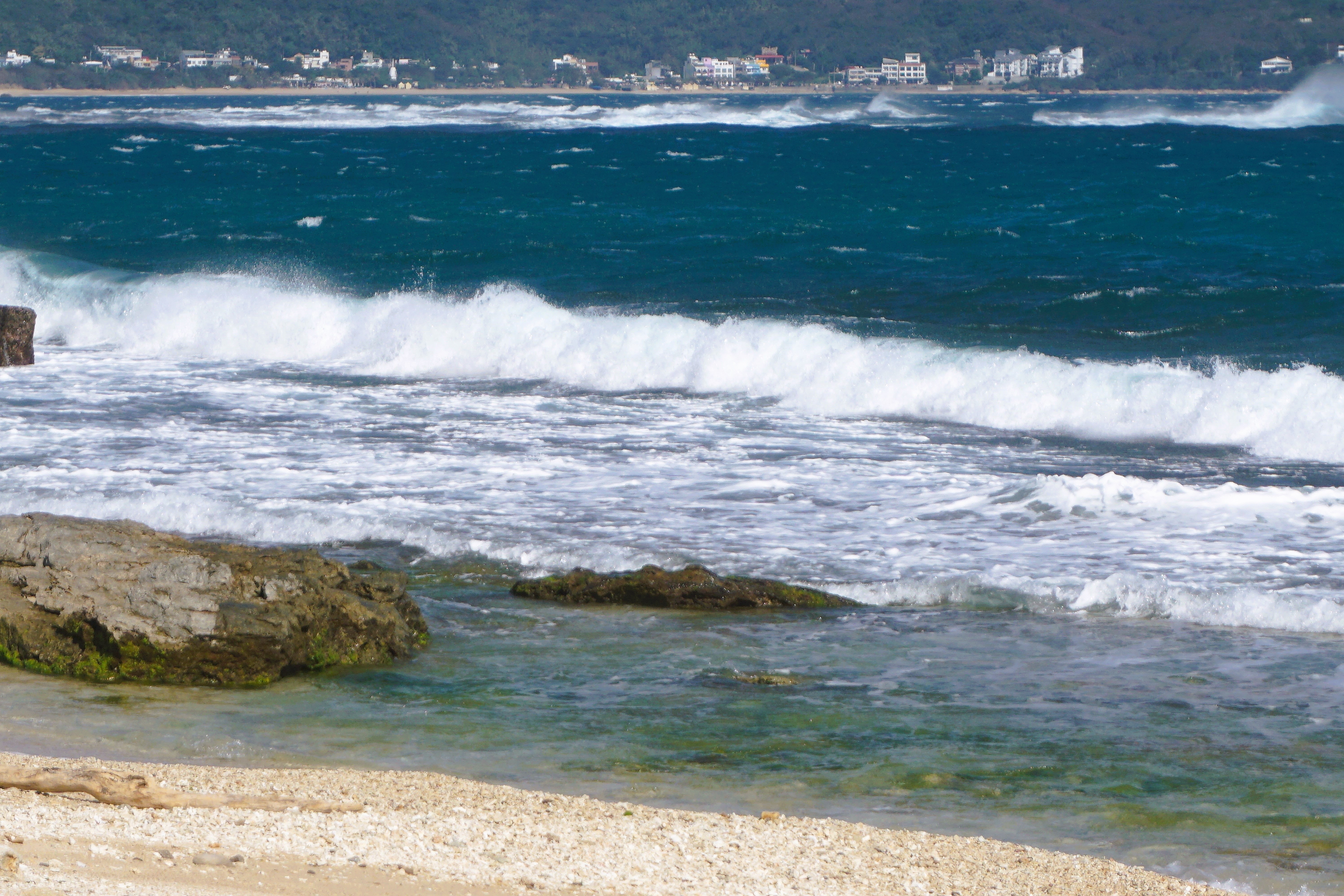 [南境風起] 張慈敏 臺南市七股區公所